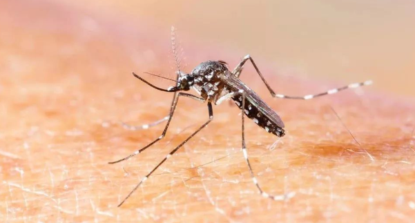 「西安疫情传播风险高」〃西安疫情风险等级划分最新
