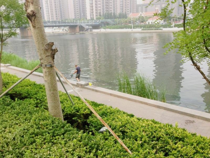 天津咸水沽疫情〃天津市咸水沽天气-第1张图片