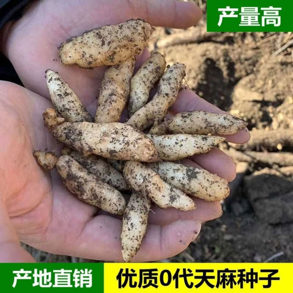 推荐一款“陕麻圈挂价格一览表”详细分享开挂步骤-第1张图片