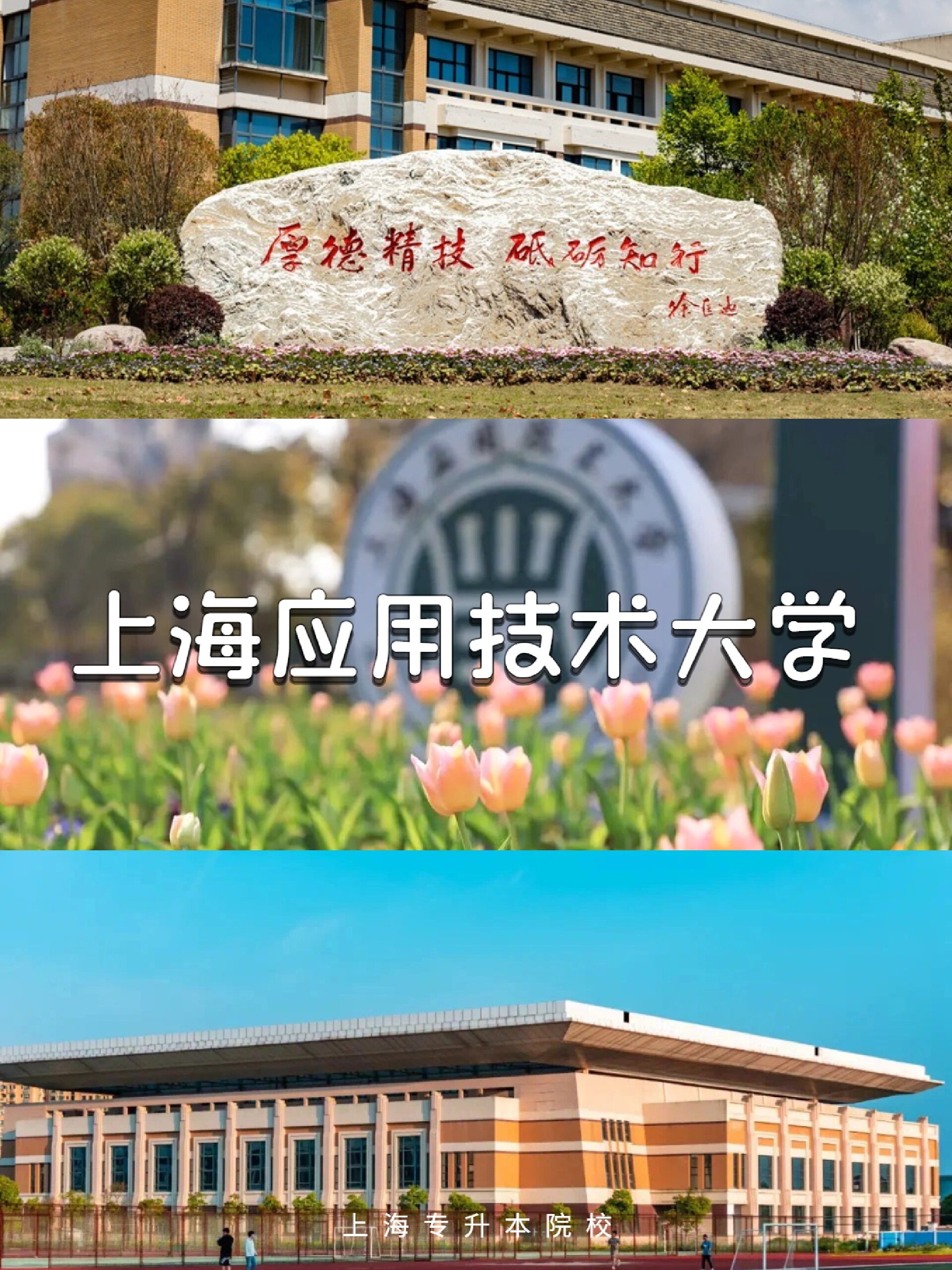 上海新增.上海新增的职业技术大学是哪个
