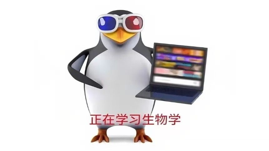 实测教程“闲逸开挂视频”其实确实有挂-第2张图片