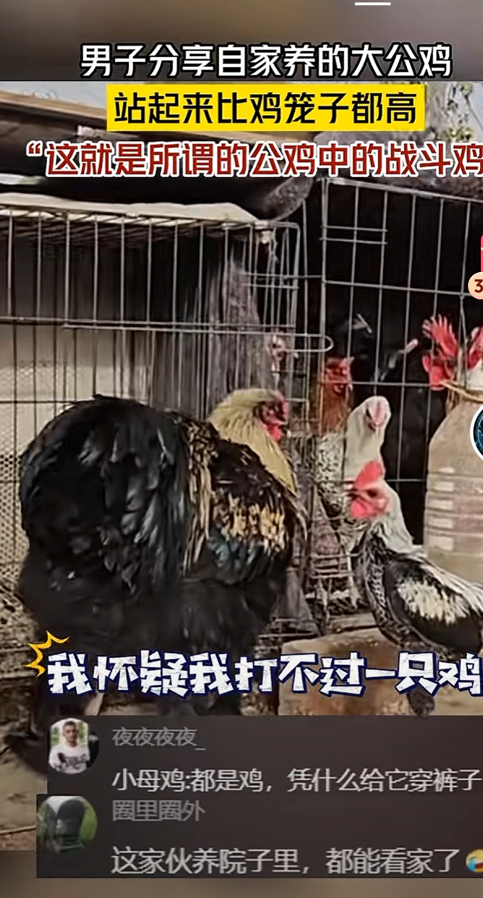 教程分享“比鸡作弊软件能用吗	”分享用挂教程-第2张图片
