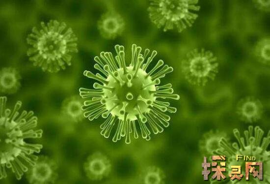 【北京新增22例确诊均与新发地有关/北京新发地疫情病毒源头最新结论】-第2张图片