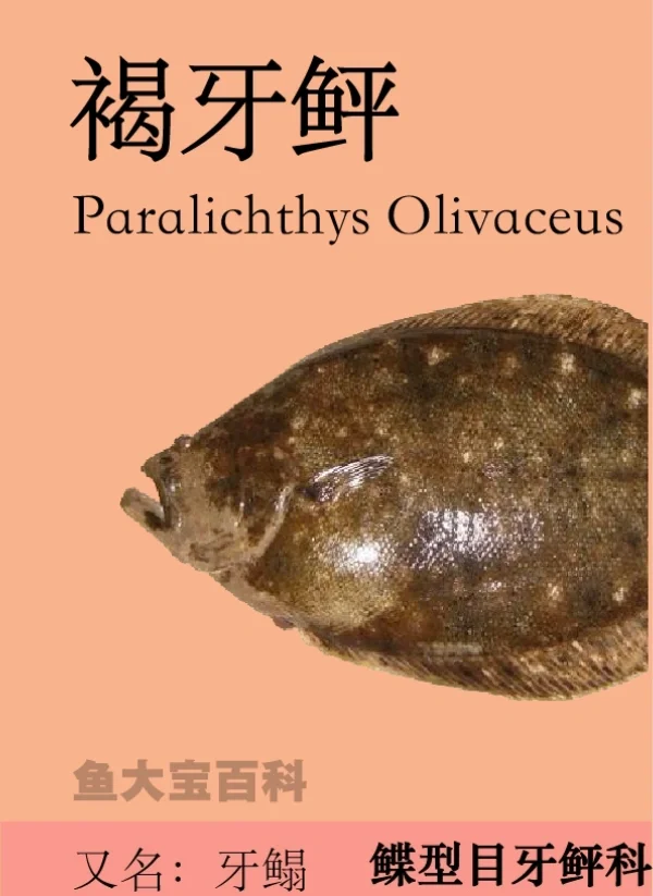 玩家攻略宝典“鱼扑克免费辅助器最新版本更新内容	”(确实是有挂)-第1张图片
