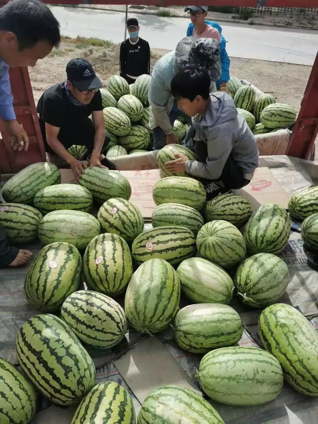 教程分享“微乐宁夏捉麻子开挂免费下载安装”确实有挂