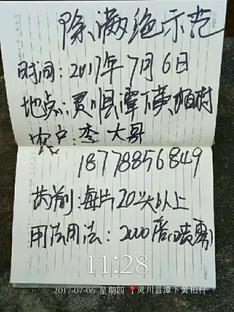 传递经验“免费福星桂林字牌开挂”(确实有挂)