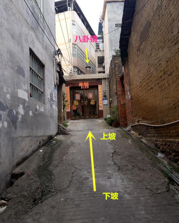 传递经验“金州水鱼有什么挂”其实是有挂-第2张图片