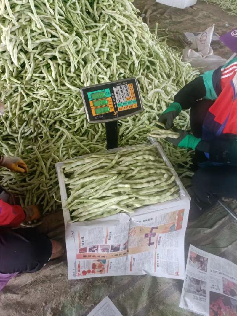 专业讨论“锦州麻将有挂吗”确实是有挂-第2张图片