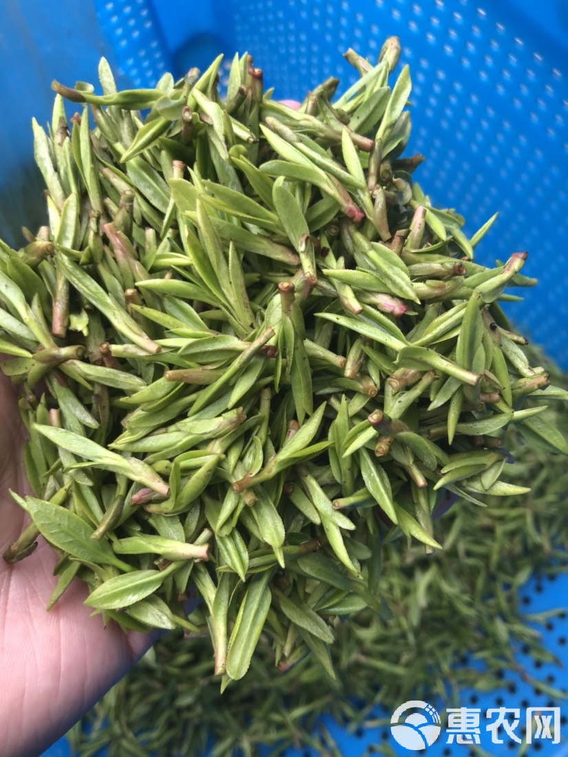 实测分享“丽水茶苑有挂吗”分享装挂详