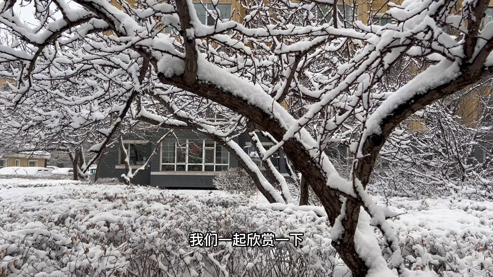 “吉林最新疫情消息今天” 吉林最新疫情消息今天封城了？-第2张图片
