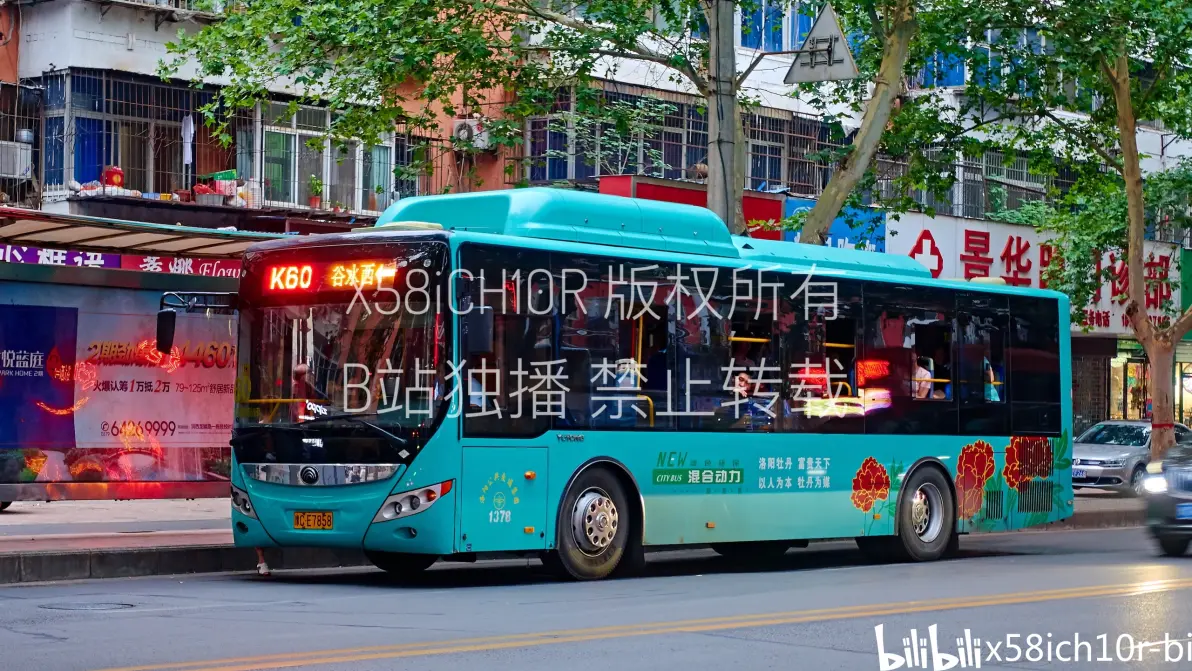 哈尔滨60号公告,哈尔滨60路bilibili