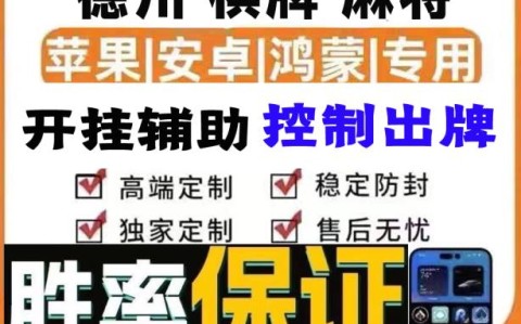 实测教程“wepoker透视挂真的吗”(其实真的能开挂)-第3张图片