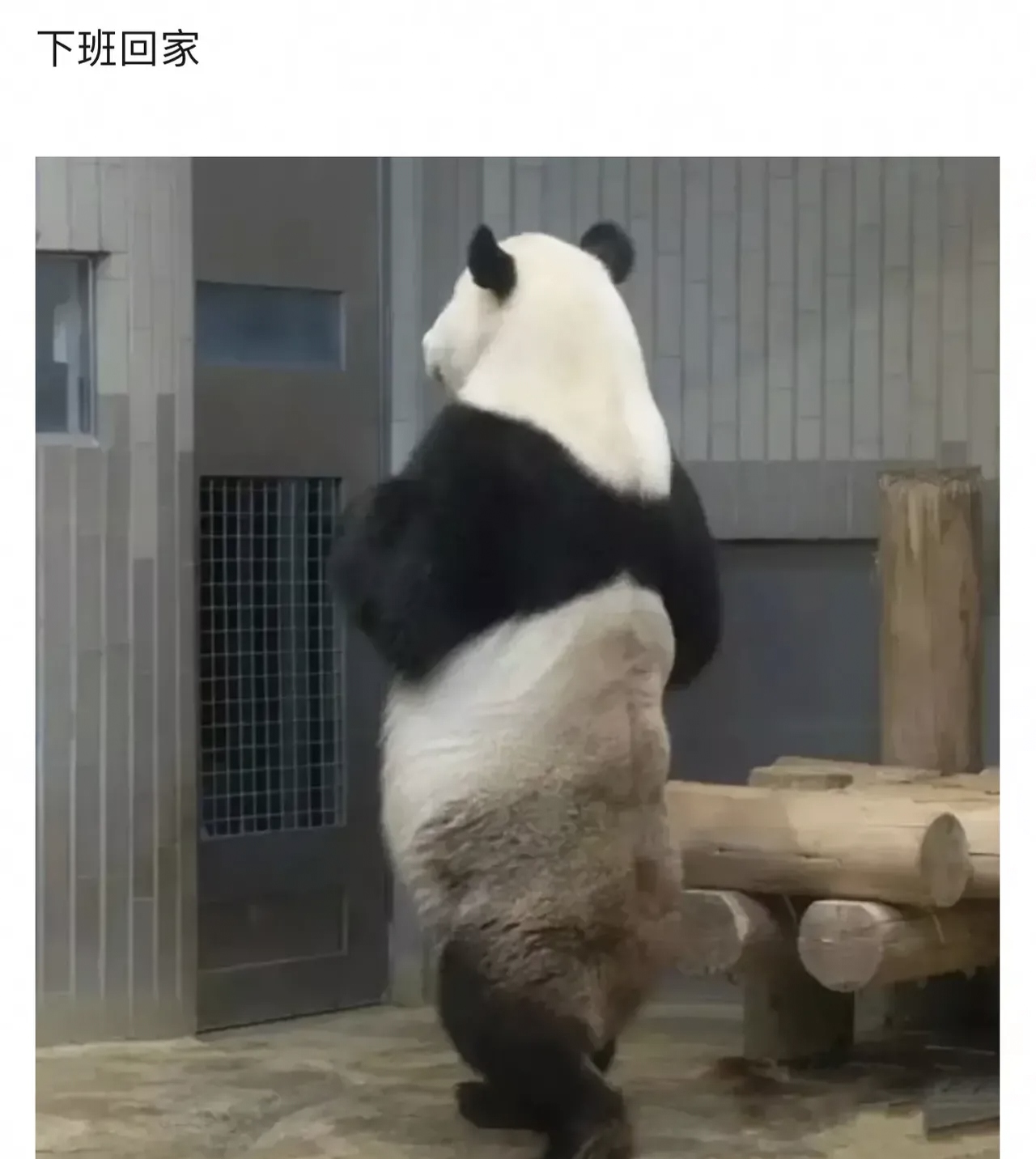 带你了解“终于知道熊猫麻将到底有没有挂”确实是有挂-第2张图片