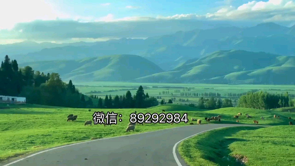今日热议“星悦手机麻将挂先试用后付款	”附开挂脚本详细-第2张图片