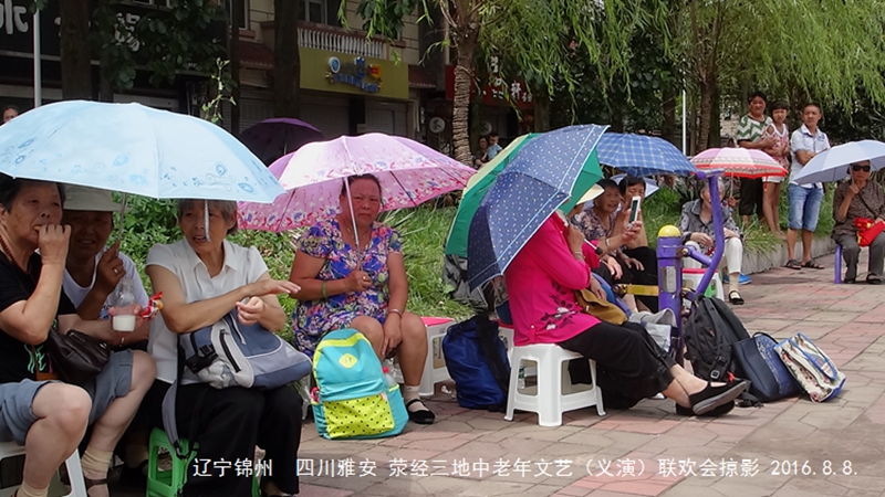 专业讨论“锦州麻将有挂吗”确实是有挂-第1张图片