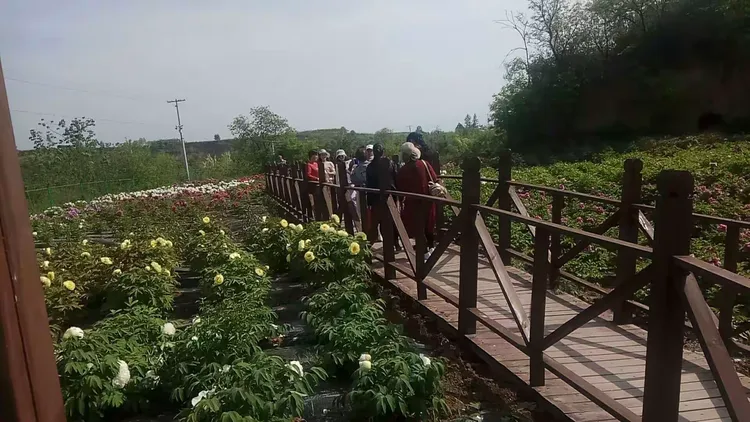 分析必看“家乡大贰有透视挂吗”确实真的有挂-第3张图片